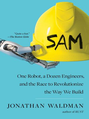 SAM - ebook